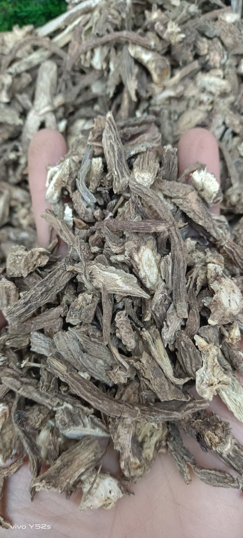 续断，各种中药常用和冷背药材实体拍摄
