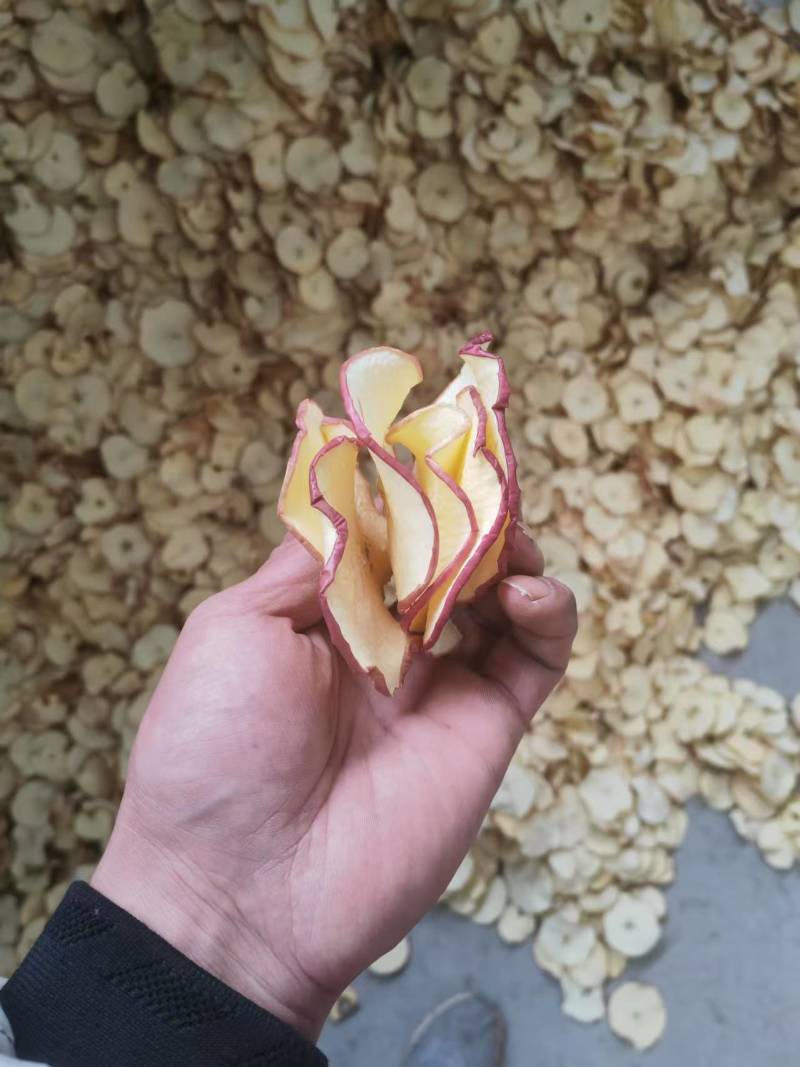 【推荐】苹果干小片工厂直发保质保量对接全国量大从优