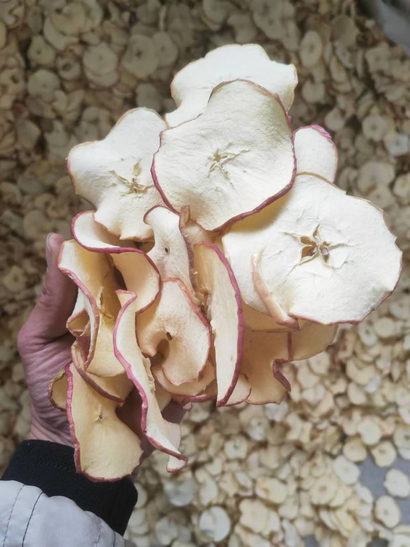 【推荐】苹果干小片工厂直发保质保量对接全国量大从优