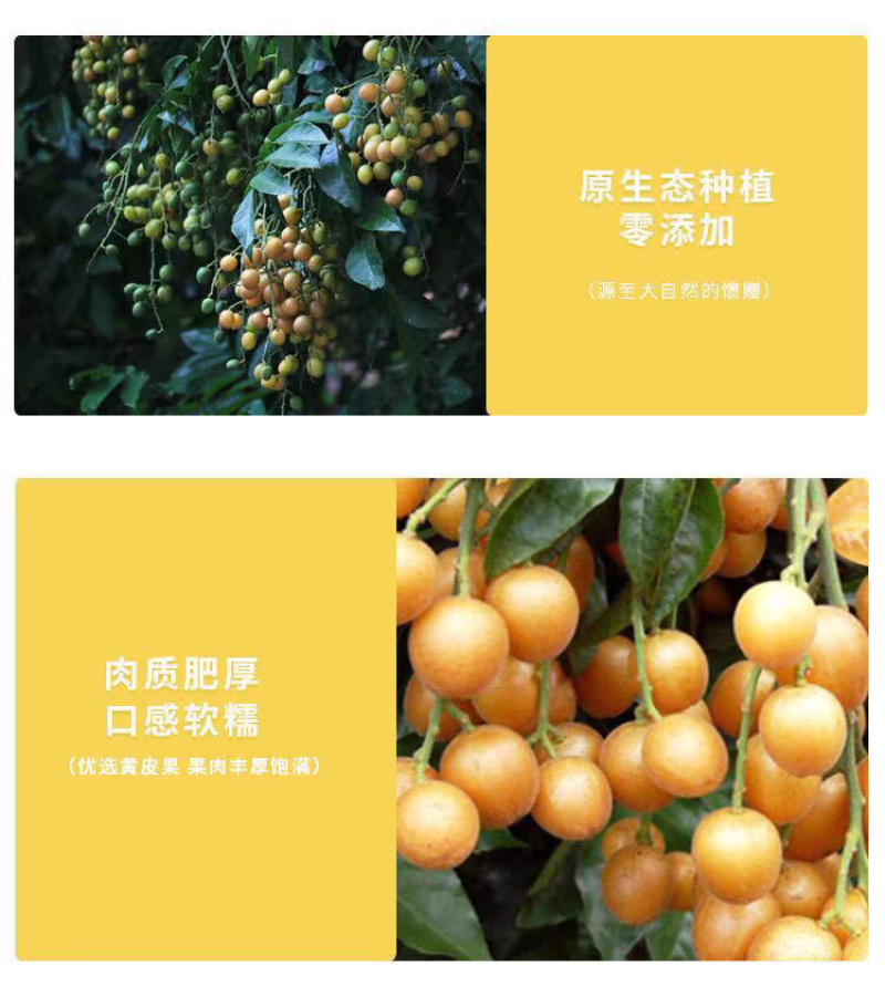 竹峰盐黄皮厂家直发量大可谈