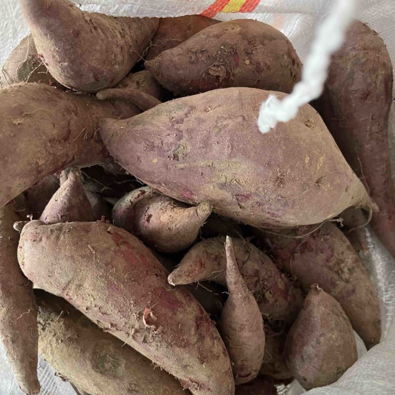 泰紫薯1号口感更软糯香甜薯皮紫色，薯肉紫色产地直发