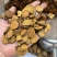 新货蜜制甘草炙甘草炒甘草熟甘草全干货源头直供