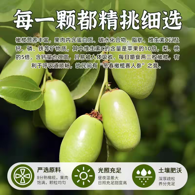 金灶甘草橄榄九制橄榄厂家直发量大可谈