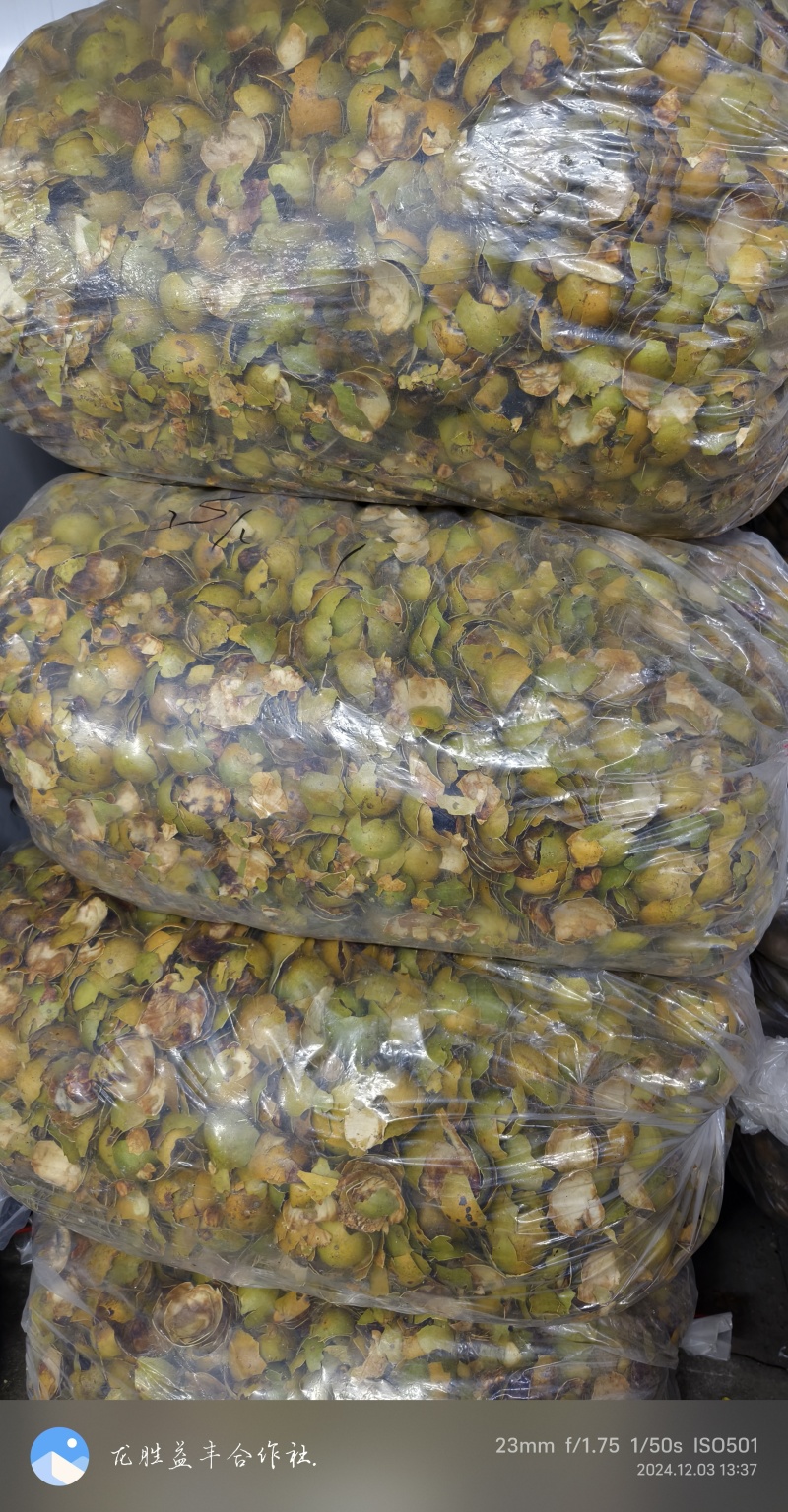 罗汉果皮.广西桂林产地药源同食罗汉果皮原料.烤干.论斤卖