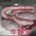【牛鞭宝】批发一件50斤牛鞭牛宝牛鞭宝