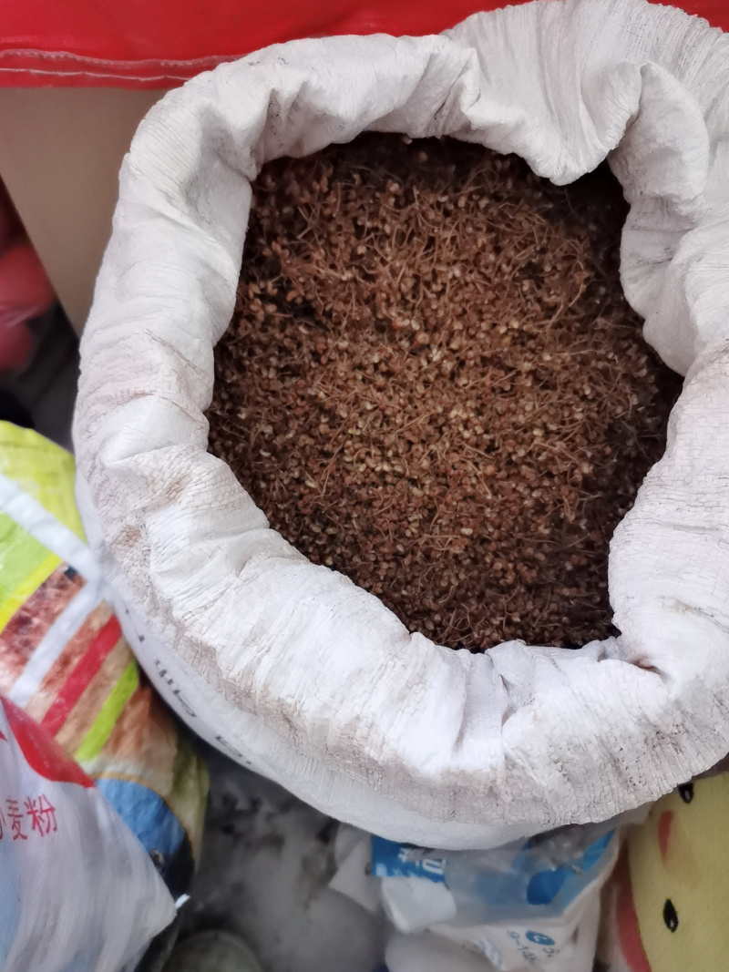 山地长的野生花椒，量大价格可谈，可长期合作。