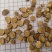 甘草蜜炙红皮甘草选货关书药业批发零售各种中药材