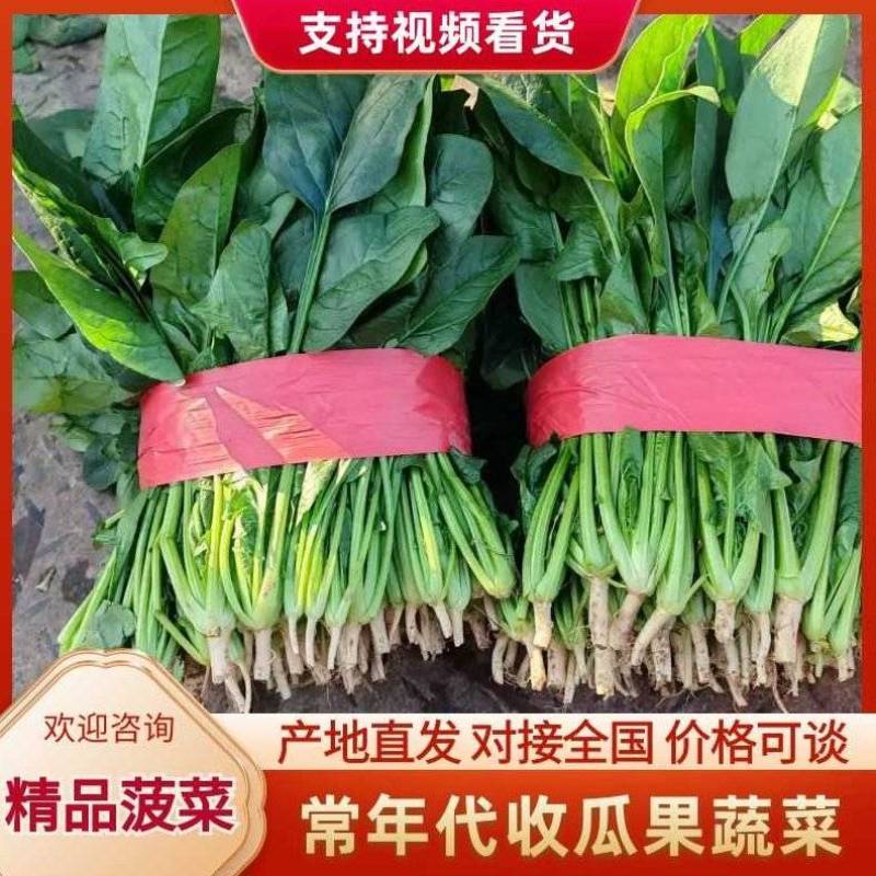 【实力】精品菠菜，基地直供，实力代办，量大优惠，代收代发