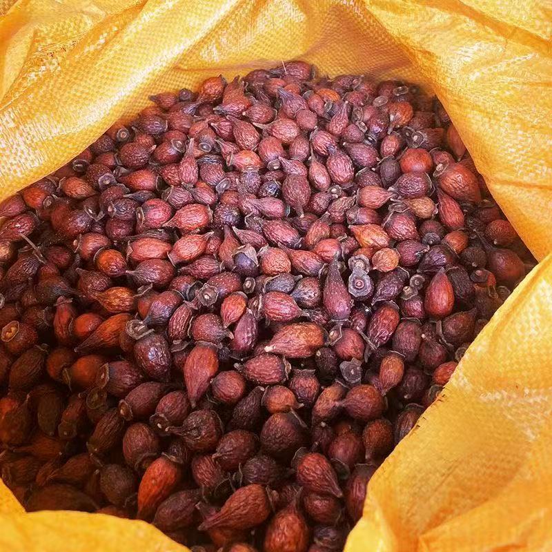 湖南金樱子干货一手货源产地直发货源充足欢迎下单