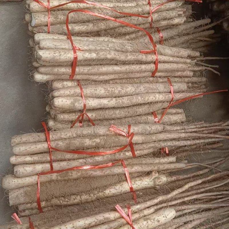 铁棍山药一手货源品质保证对接商超可视频看货欢迎
