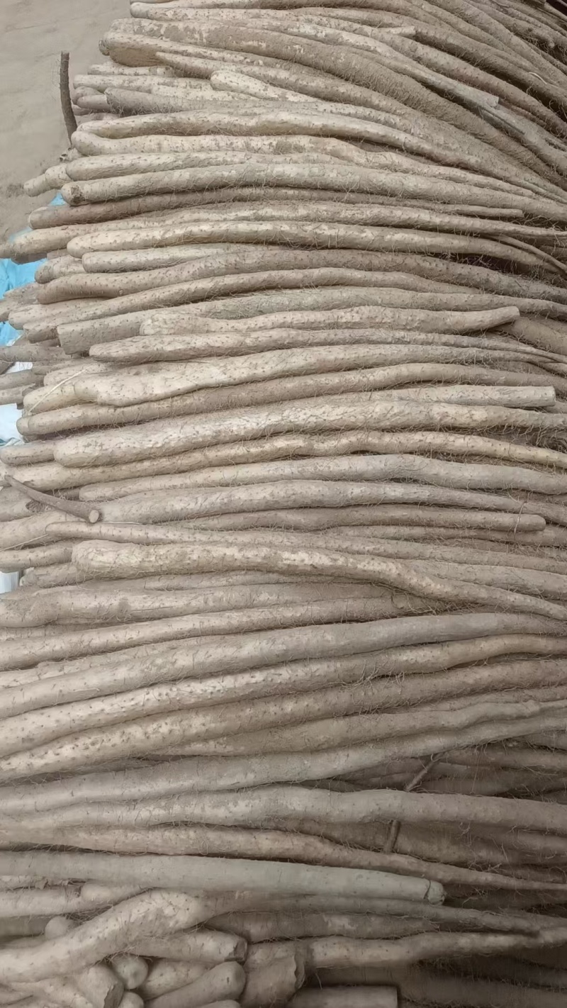 铁棍山药一手货源品质保证对接商超可视频看货欢迎