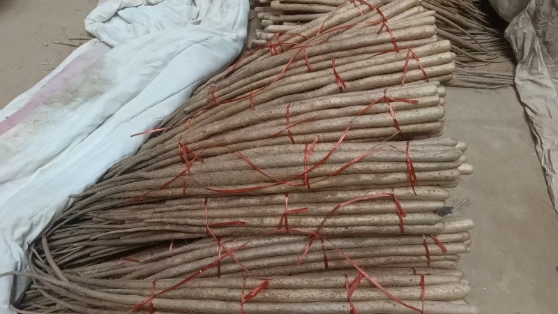 铁棍山药一手货源品质保证对接商超可视频看货欢迎