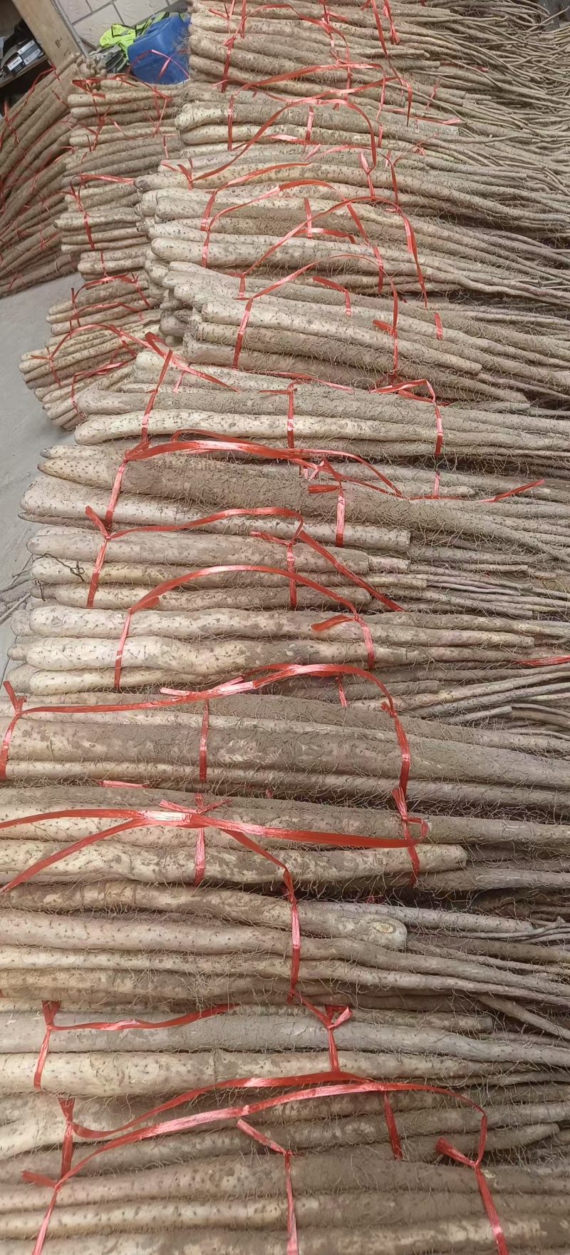 铁棍山药一手货源品质保证对接商超可视频看货欢迎