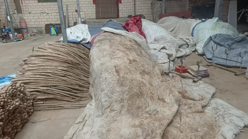 小白嘴山药河南小山药一手货源品质保证可视频欢迎