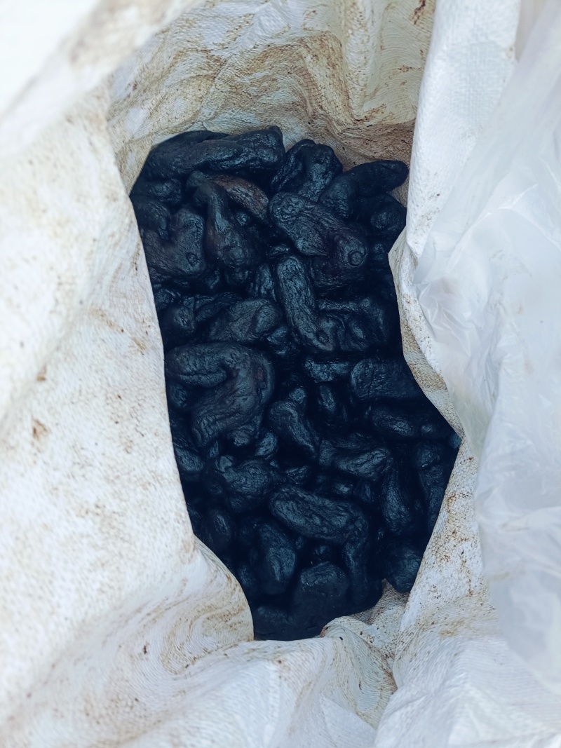 制黄精，九蒸九晒古法炮制精选大个，8~9个一公斤个个精选