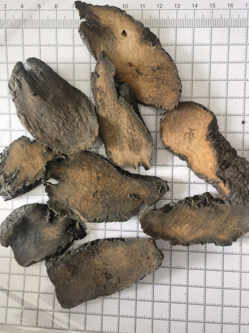 肉苁蓉新疆硬大云片关书药材桟批发中药材规格齐全质量好
