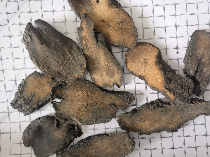 肉苁蓉新疆硬大云片关书药材桟批发中药材规格齐全质量好