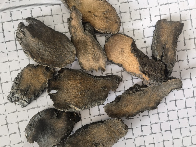 肉苁蓉新疆硬大云片关书药材桟批发中药材规格齐全质量好