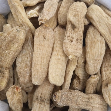 天麻个无硫云南天麻个子关书药业批发中药材