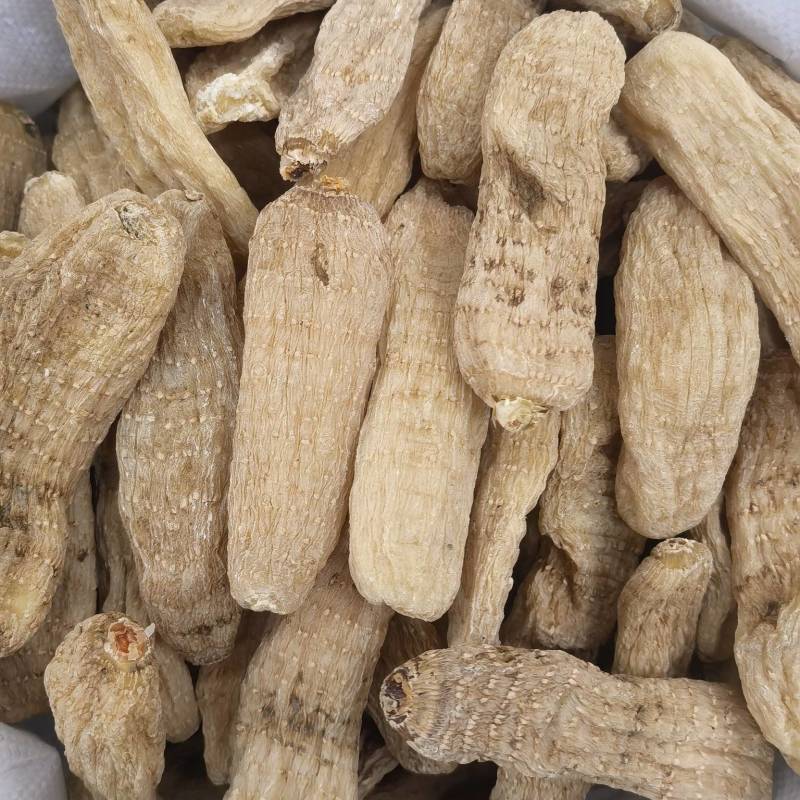 天麻个无硫云南天麻个子关书药业批发中药材