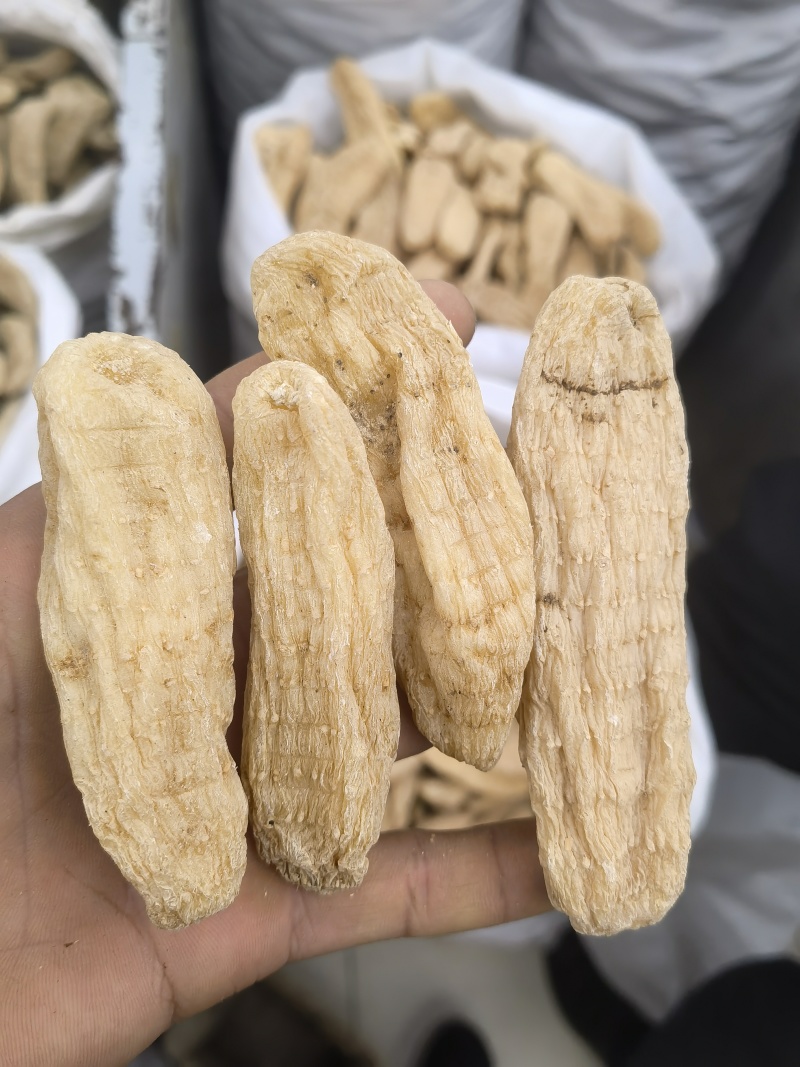 天麻个无硫云南天麻个子关书药业批发中药材