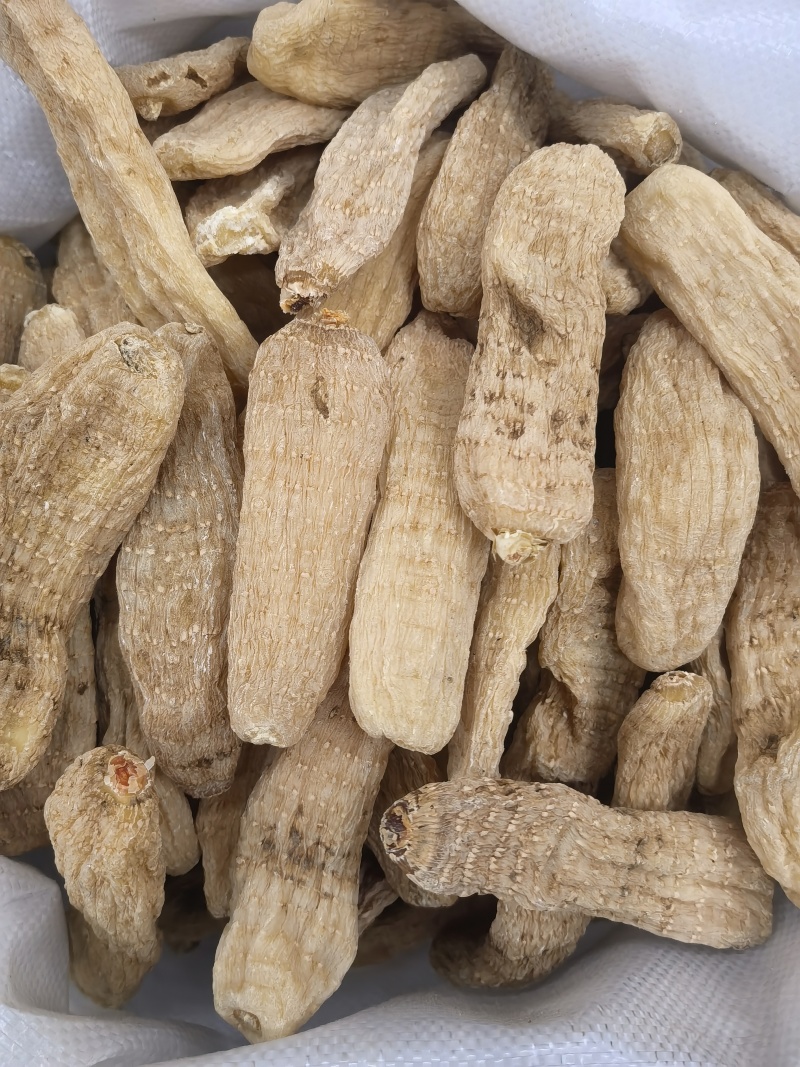 天麻个无硫云南天麻个子关书药业批发中药材