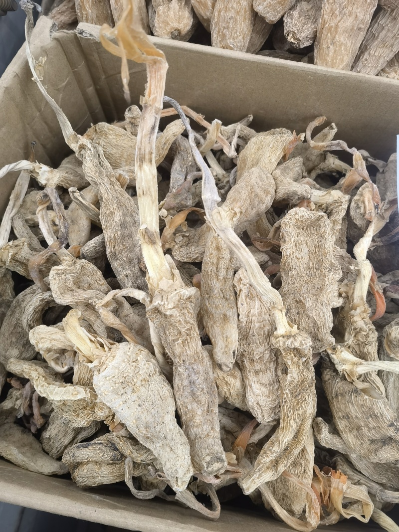 天麻个无硫云南天麻个子关书药业批发中药材