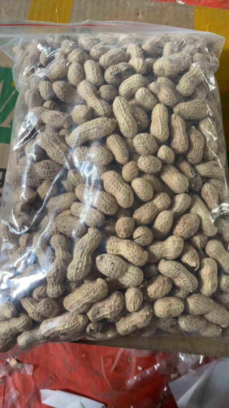 电商铁锅炒花生大颗粒支持一件貸发原味花生