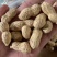 电商铁锅炒花生大颗粒支持一件貸发原味花生