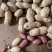 电商铁锅炒花生大颗粒支持一件貸发原味花生