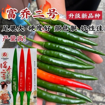 南方热销泰国进口朝天辣椒种子富乔二号大果朝天椒种籽高产抗