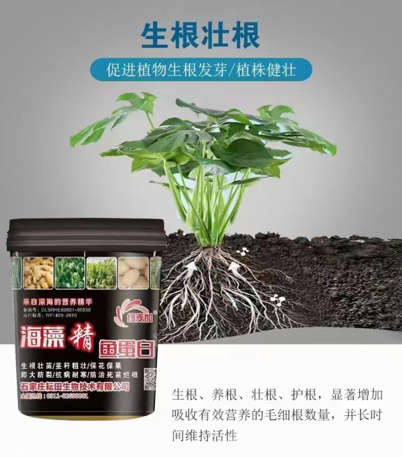 鱼蛋白水溶肥海藻精鱼蛋白氨基酸水溶肥腐殖酸生根壮苗