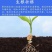 鱼蛋白水溶肥海藻精鱼蛋白氨基酸水溶肥腐殖酸生根壮苗