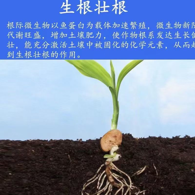 鱼蛋白水溶肥海藻精鱼蛋白氨基酸水溶肥腐殖酸生根壮苗