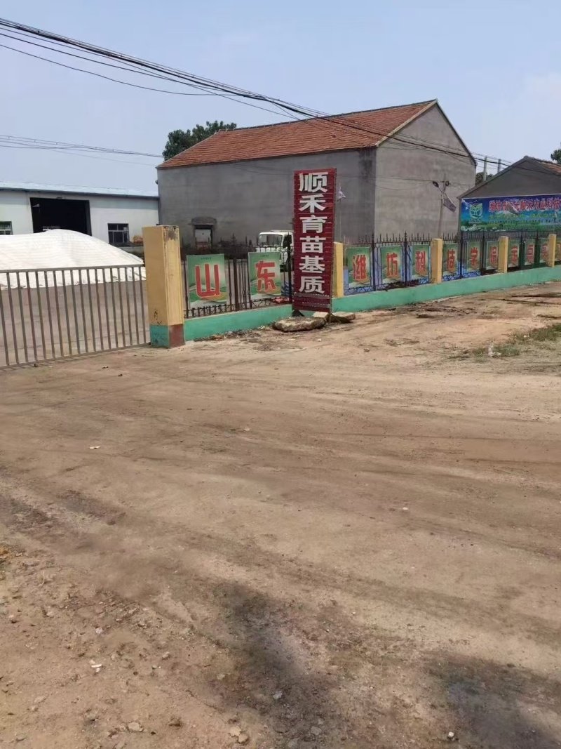 国产育苗基质营养土寿光厂家直销育苗土大量有货