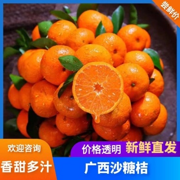 【沙糖桔】广西沙糖桔/桂林沙糖桔/产地直发一件代发