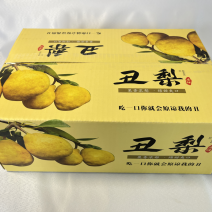 中华丑梨一件代发品质保证量大价优脆甜多汁欢迎来电洽谈