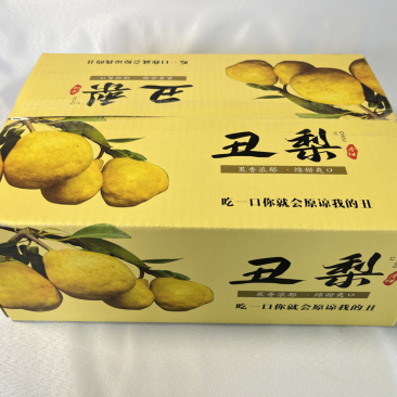 中华丑梨一件代发品质保证量大价优脆甜多汁欢迎来电洽谈