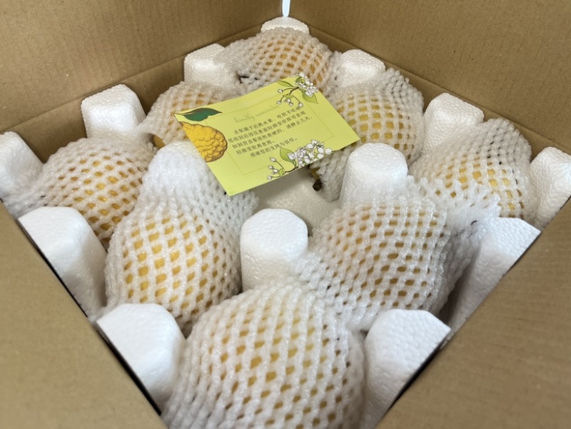 中华丑梨一件代发品质保证量大价优脆甜多汁欢迎来电洽谈
