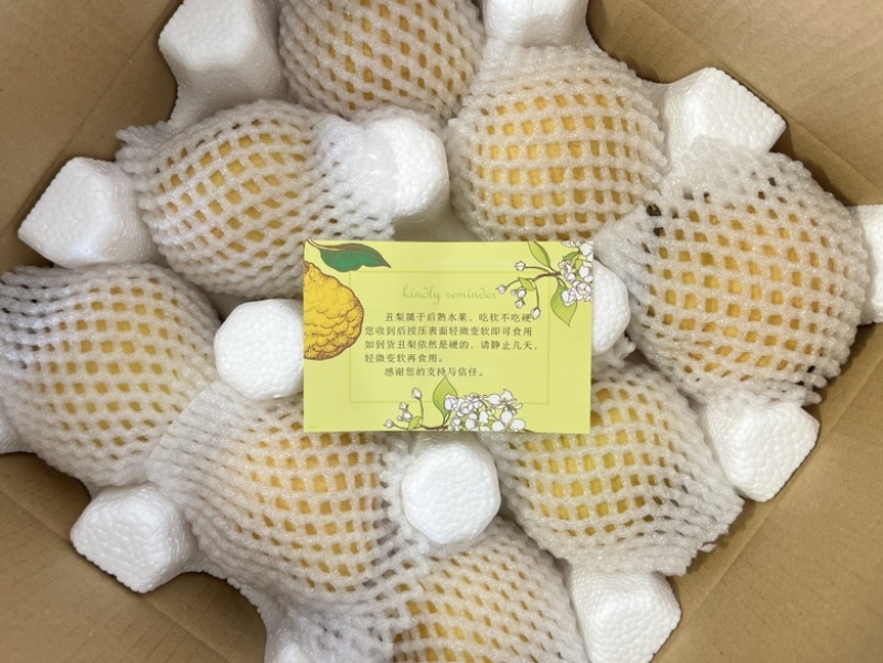 中华丑梨一件代发品质保证量大价优脆甜多汁欢迎来电洽谈