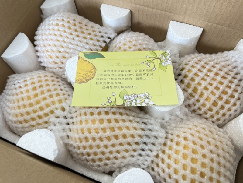 中华丑梨一件代发品质保证量大价优脆甜多汁欢迎来电洽谈