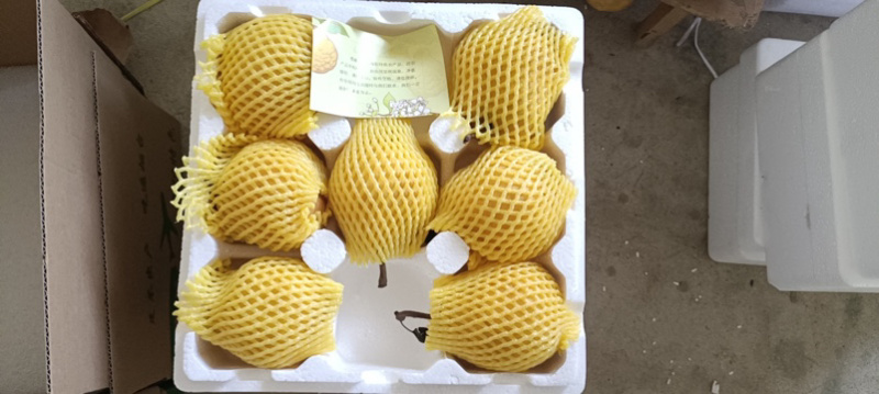 中华丑梨一件代发品质保证量大价优脆甜多汁欢迎来电洽谈