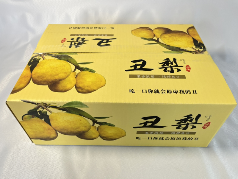 中华丑梨一件代发品质保证量大价优脆甜多汁欢迎来电洽谈
