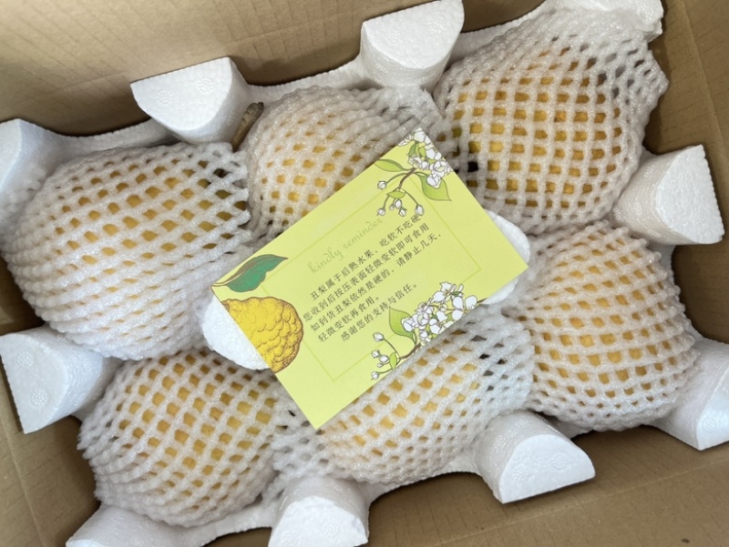 中华丑梨一件代发品质保证量大价优脆甜多汁欢迎来电洽谈