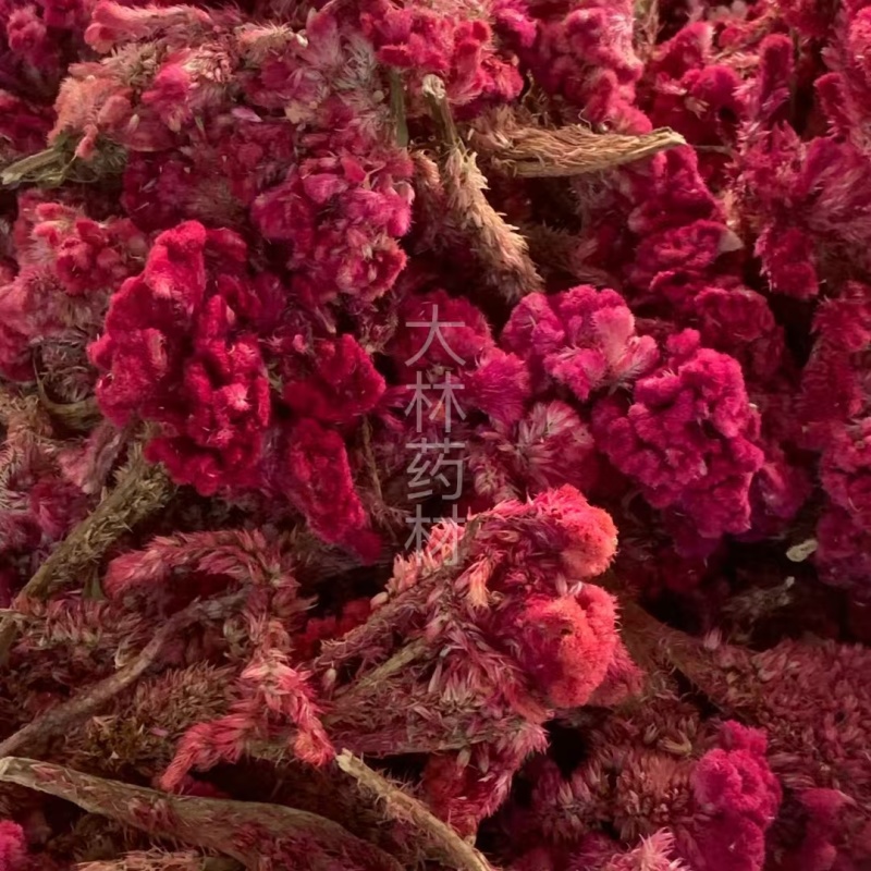 鸡冠花【包邮】三斤起发货可批量可零售量大从优