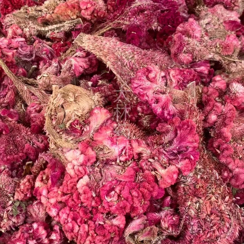 鸡冠花【包邮】三斤起发货可批量可零售量大从优