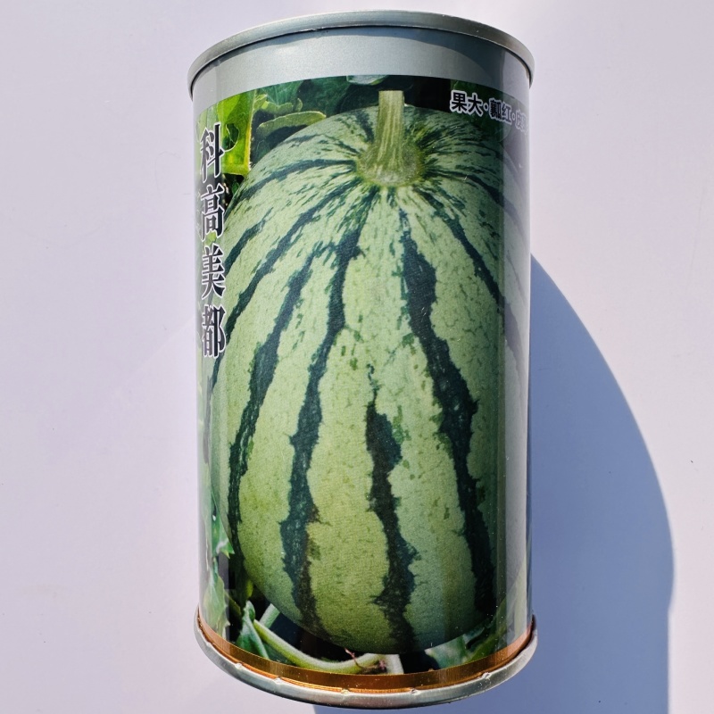 科高美都西瓜种子一代杂交大果型皮薄红瓤西瓜种子薄皮耐裂