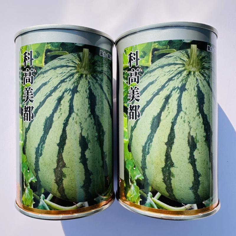 科高美都西瓜种子一代杂交大果型皮薄红瓤西瓜种子薄皮耐裂