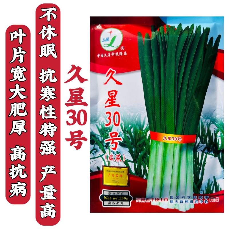久星30号韭菜种子不休眠耐寒高产宽叶韭菜种籽特抗寒多年生