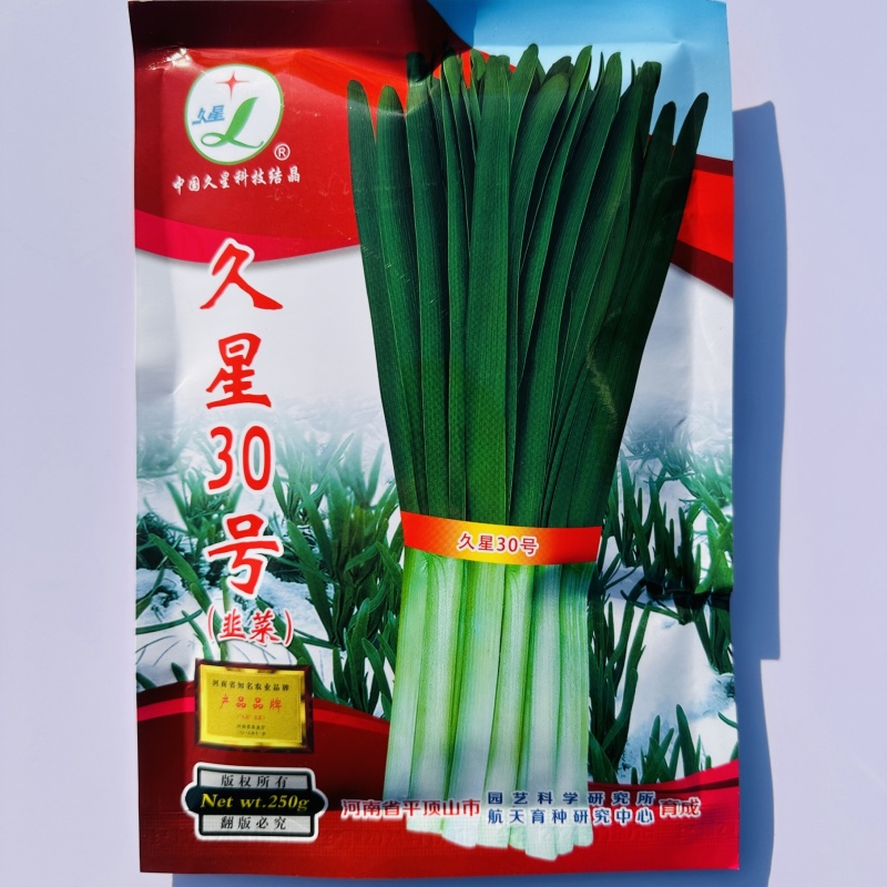 久星30号韭菜种子不休眠耐寒高产宽叶韭菜种籽特抗寒多年生
